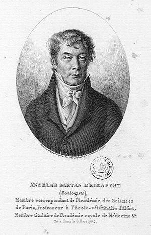 Anselme Gaetan Desmarest 1784-1838