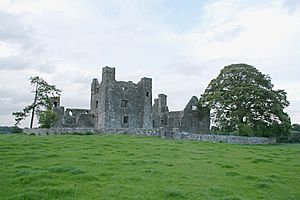 Bective Abbey