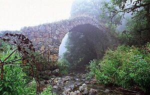 Bridge Kapan