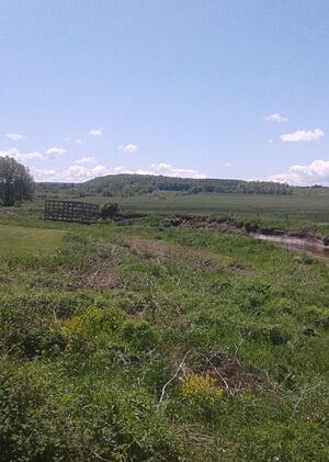 BuddHill