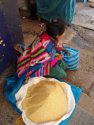 Calca Peru- Quinoa seller at mercado II