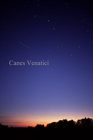 CanesVenaticiCC