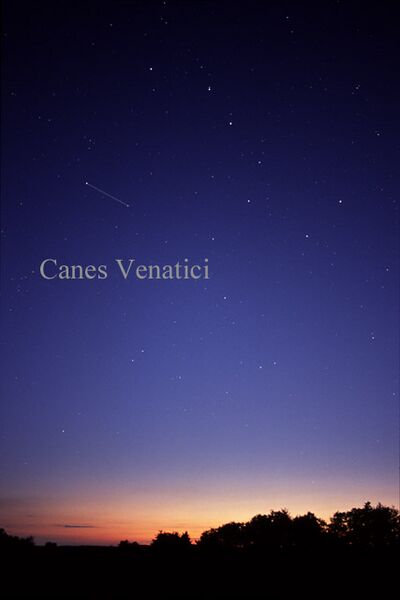 CanesVenaticiCC