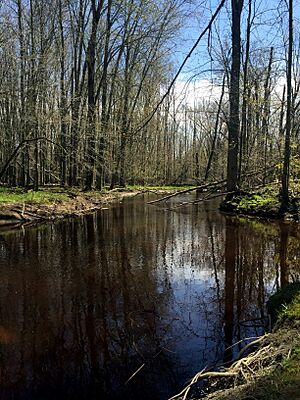 Cass River, Sanilac Petroglyphs HSP
