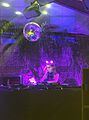  Chelsea Manning, wearing glowing cat ears, workign behind a DJ booth with a discoball overhead