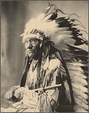 Chief Little Wound, Ogalalla Sioux - DPLA - 970820fa15772e5ab5ff27d9fd78a176