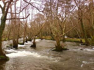 Coristanco (Verdes), Galiza
