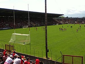 Cork stadium