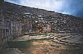 Cyrene3