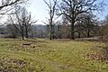 Danesbury Park 6