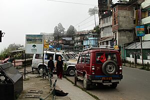 Darjeeling street (8131988436)