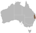 Delma torquata distribution