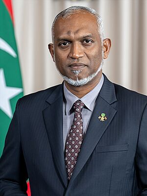 President Dr Mohamed Muizz's official portrait of 2024, The President's Office, Republic of the Maldives