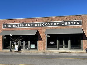 Elephant Discovery Center