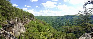 Endless Wall New River Gorge 2014