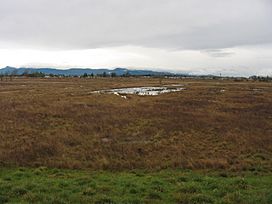 Eugene wetlands.jpg