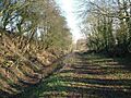 Farthinghoe Nature Reserve - geograph.org.uk - 331620