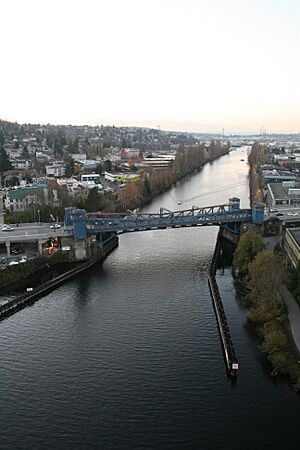 Fremont Bridge 5