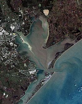 Galveston Bay Landsat.jpg