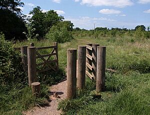 Gate, Netherclay Community Woodland (geograph 1939641)
