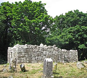 Graveyard and ruined chapel on Inchagoill - geograph.org.uk - 1438836
