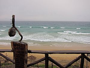 Indian Ocean seen from one of many province`s resorts