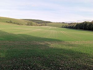 Hogs Hole from Combe Bottom.jpg