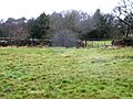 Holly Rock Fields 4