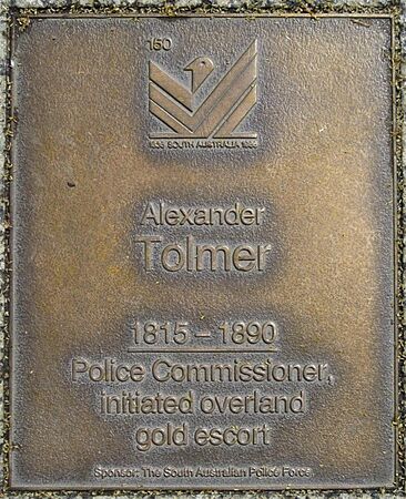 J150W-Tolmer