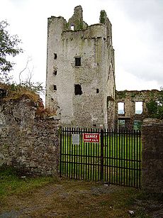 Kilcash Castle4