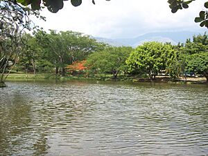 Lagotours sanjerónimo