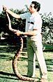 Lalji Singh Bkm