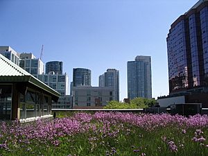 MEC's green roof among others