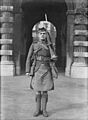 Ministry of Information First World War Official Collection Q30226