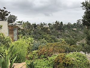 Mission hills canyon view