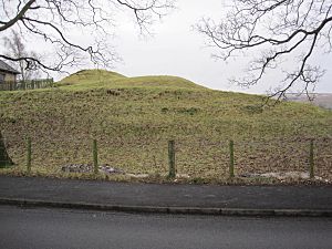 Motte of Bellingham Castle - geograph.org.uk - 1689949