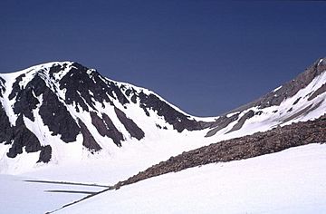 Mount Dana volcano.jpg