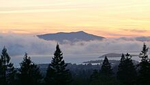 Mount tamalpais from berkeley