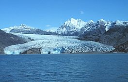 NOAA Riggs Glacier 1992.jpg