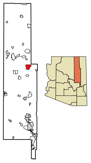 Location of Whitecone in Navajo County, Arizona.