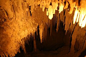 Newdegate cave-Tasmania-Australia17