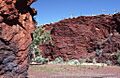 Newman, Pilbara, Western Australia