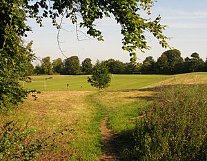 NorkPark playing fields 11.ix.2015