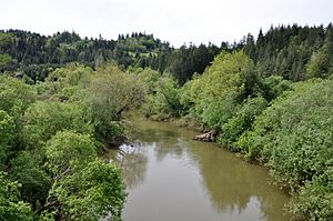 North Fork Coquille River.jpg