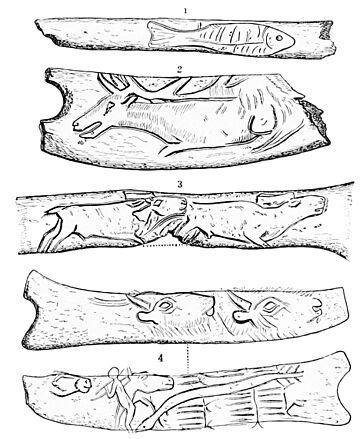 PSM V44 D647 Delineations on pieces of antler