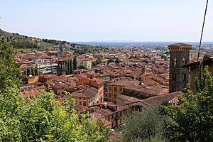 Pescia, casa di nazareth, vista sull'abitato 11.jpg