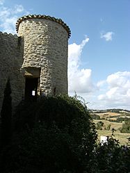 The tower in Peyrefitte-sur-l'Hers