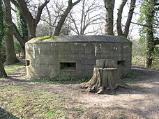 Pill box overlooking the River Wey