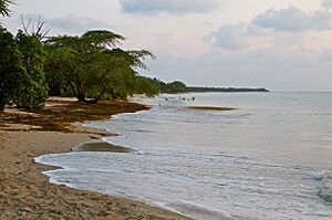 Playa Sucia, Cabo Rojo, Puerto Rico