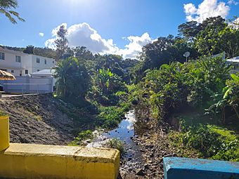 Quebrada Helechal, Barranquitas, Puerto Rico